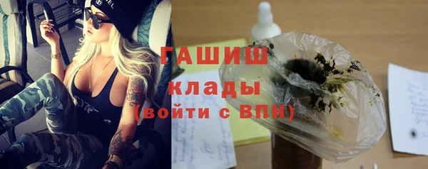 индика Кулебаки