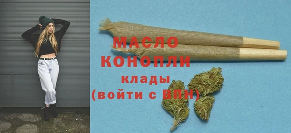 индика Кулебаки