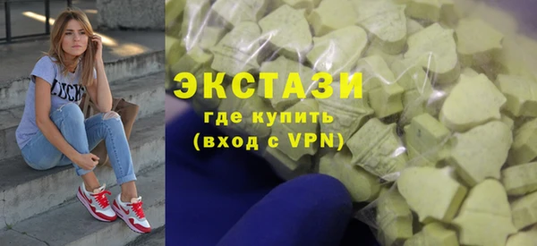 индика Кулебаки