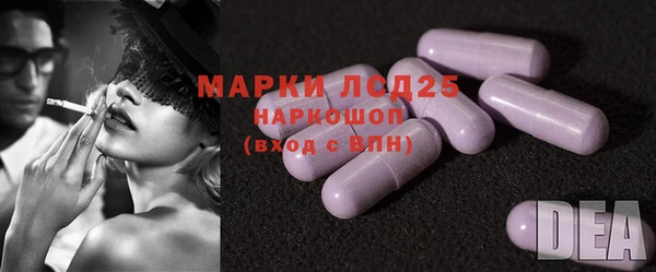 индика Кулебаки