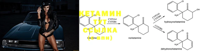 ПСИЛОЦИБИНОВЫЕ ГРИБЫ Куйбышев