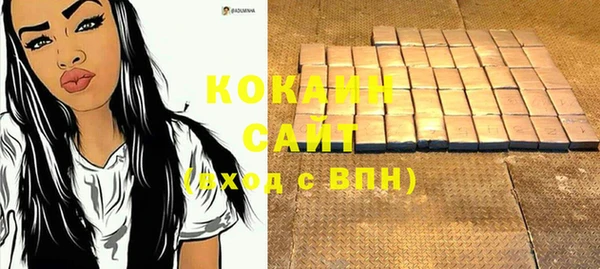 индика Кулебаки
