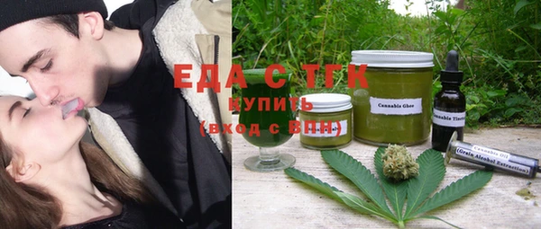 индика Кулебаки