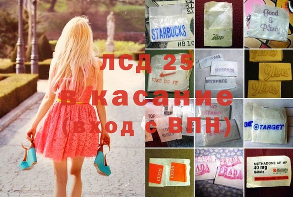 индика Кулебаки