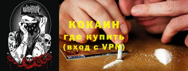 индика Кулебаки