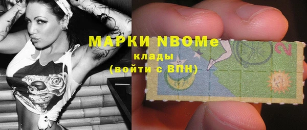 индика Кулебаки