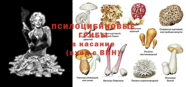 мескалин Кукмор