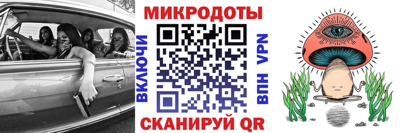 Купить  Балей  Псилоцибиновые грибы Psilocybine cubensis 